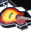 Guitar Cases & Bags